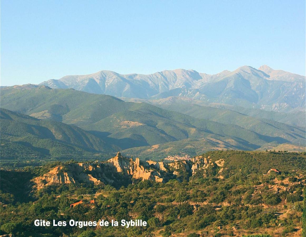 Gite Des Orgues De La Sybille Agave Canigou المظهر الخارجي الصورة