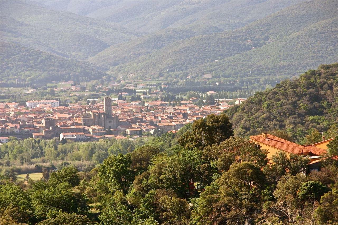 Gite Des Orgues De La Sybille Agave Canigou المظهر الخارجي الصورة